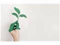 植物診療師高考8月首度舉辦　60分即合格