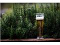 台灣菸酒公司124周年慶！預估9月招考還有農會可選擇