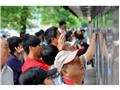 114年外交、國際商務、民航及原住民族特考放榜  整體錄取率23.49％