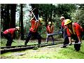 114年森林護管員甄試簡章公布　報名至5月14日