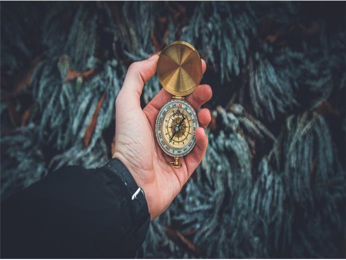 115年導遊領隊人員考試簡章公告　12／9開始報名