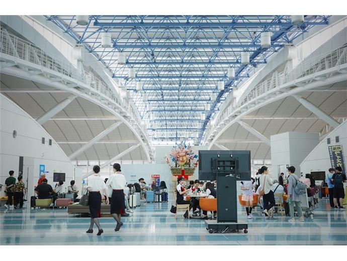 台灣虎航啟動第2批高雄空服員初試　預計錄取30人明年初報到