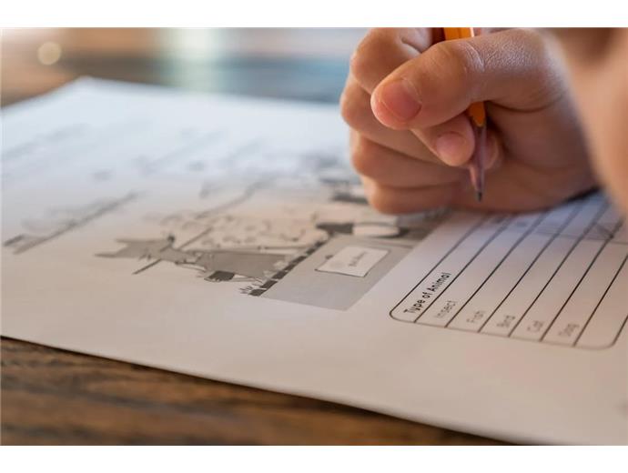 高普考考試科目刪減　115年起實施