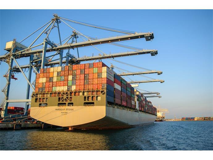 115年港務招考正取141名　筆試預定115年3–4月進行